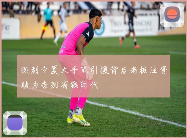 热刺今夏大手笔引援背后老板注资助力告别省钱时代